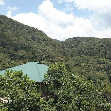 Kisoro Gorilla Hills Eco-Lodge المظهر الخارجي الصورة