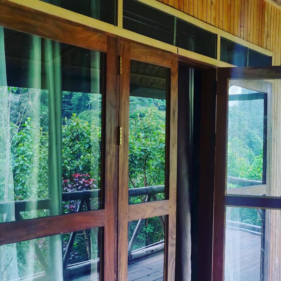 Kisoro Gorilla Hills Eco-Lodge المظهر الخارجي الصورة