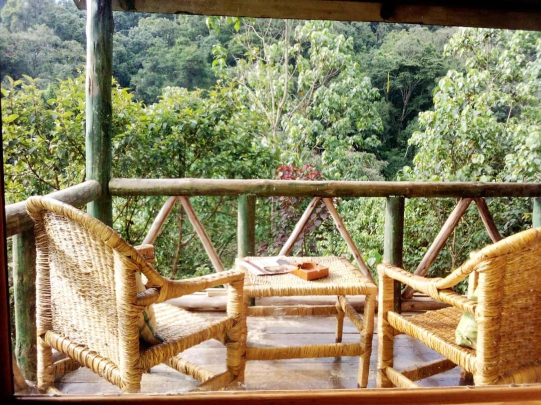 Kisoro Gorilla Hills Eco-Lodge المظهر الخارجي الصورة