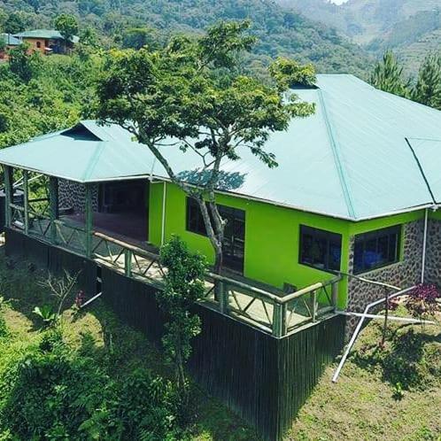 Kisoro Gorilla Hills Eco-Lodge المظهر الخارجي الصورة