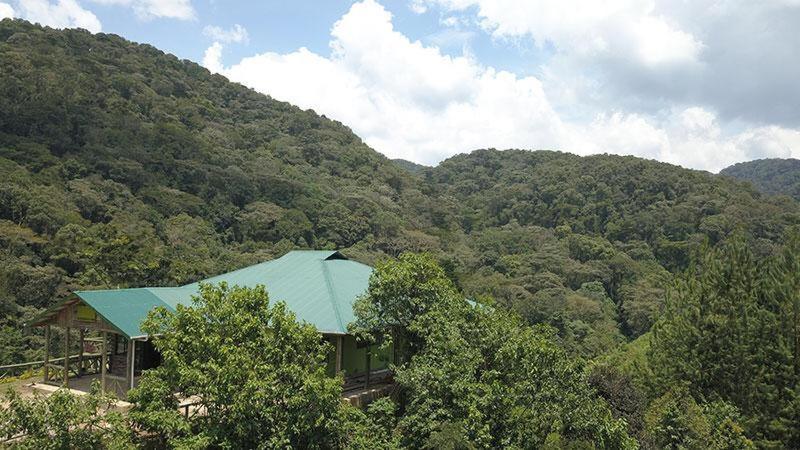 Kisoro Gorilla Hills Eco-Lodge المظهر الخارجي الصورة