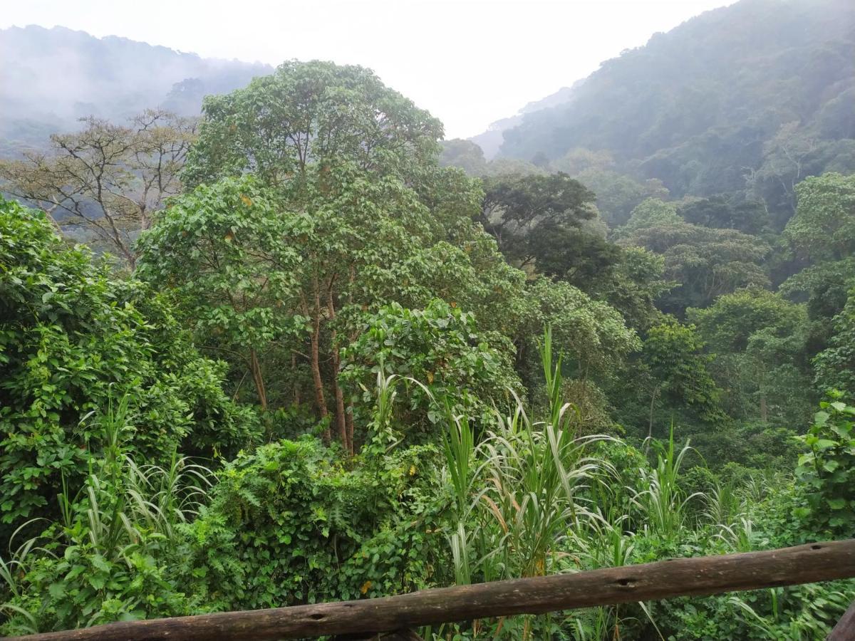 Kisoro Gorilla Hills Eco-Lodge المظهر الخارجي الصورة