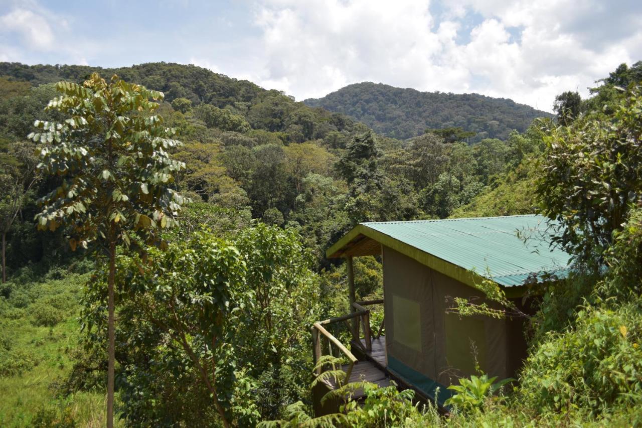 Kisoro Gorilla Hills Eco-Lodge المظهر الخارجي الصورة