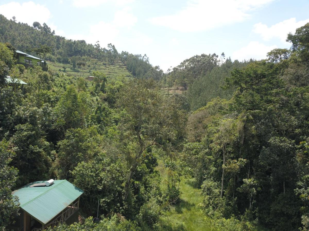 Kisoro Gorilla Hills Eco-Lodge المظهر الخارجي الصورة