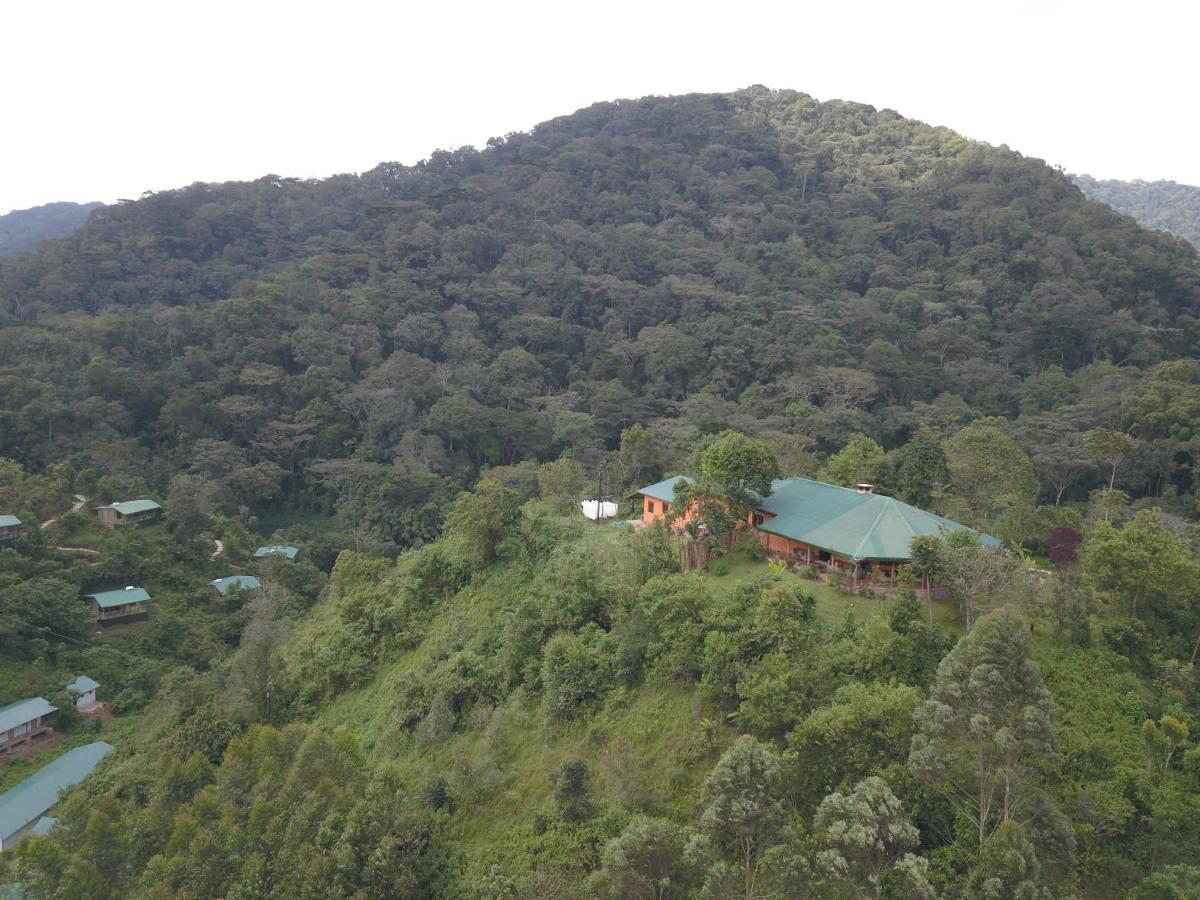 Kisoro Gorilla Hills Eco-Lodge المظهر الخارجي الصورة