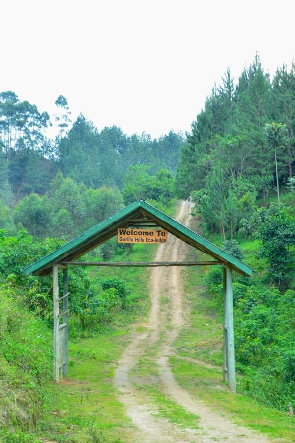 Kisoro Gorilla Hills Eco-Lodge المظهر الخارجي الصورة