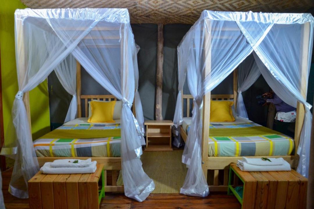 Kisoro Gorilla Hills Eco-Lodge المظهر الخارجي الصورة